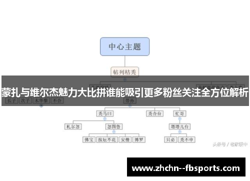 蒙扎与维尔杰魅力大比拼谁能吸引更多粉丝关注全方位解析