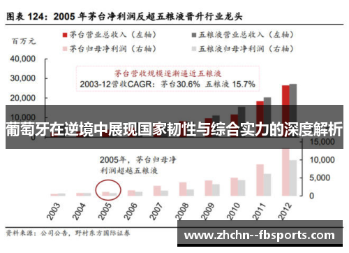 葡萄牙在逆境中展现国家韧性与综合实力的深度解析